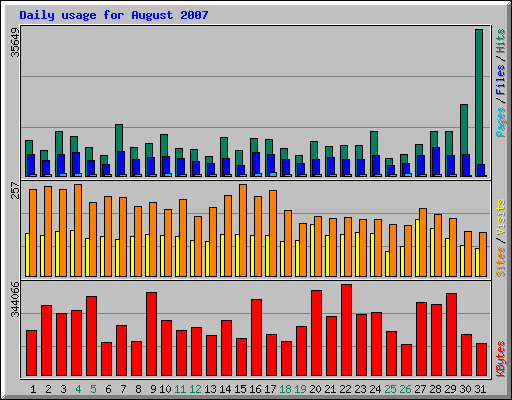 Daily usage for August 2007