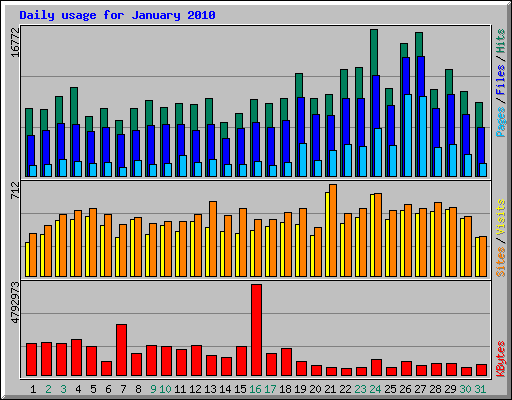 Daily usage for January 2010