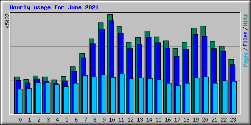 Hourly usage for June 2021