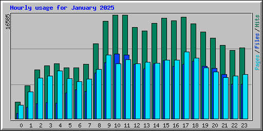 Hourly usage for January 2025