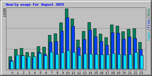 Hourly usage for August 2025