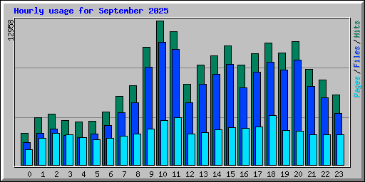 Hourly usage for September 2025