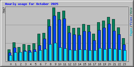 Hourly usage for October 2025