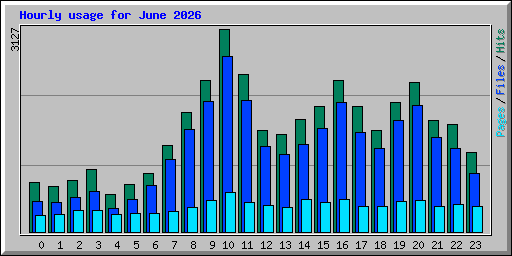 Hourly usage for June 2026