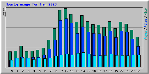 Hourly usage for May 2025