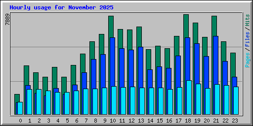 Hourly usage for November 2025